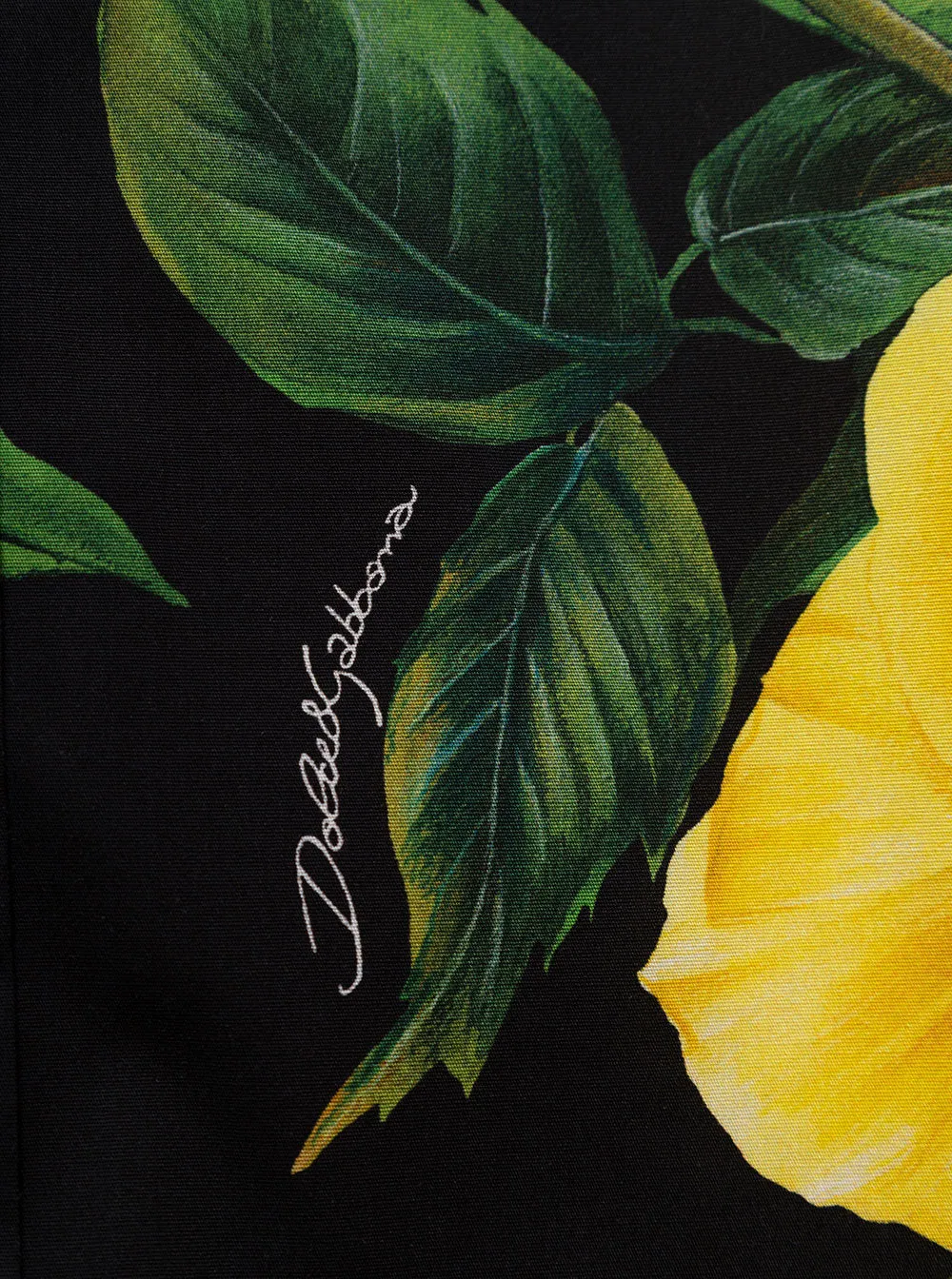 Dolce & Gabbana Rose-Printed Curved Hem Shirt