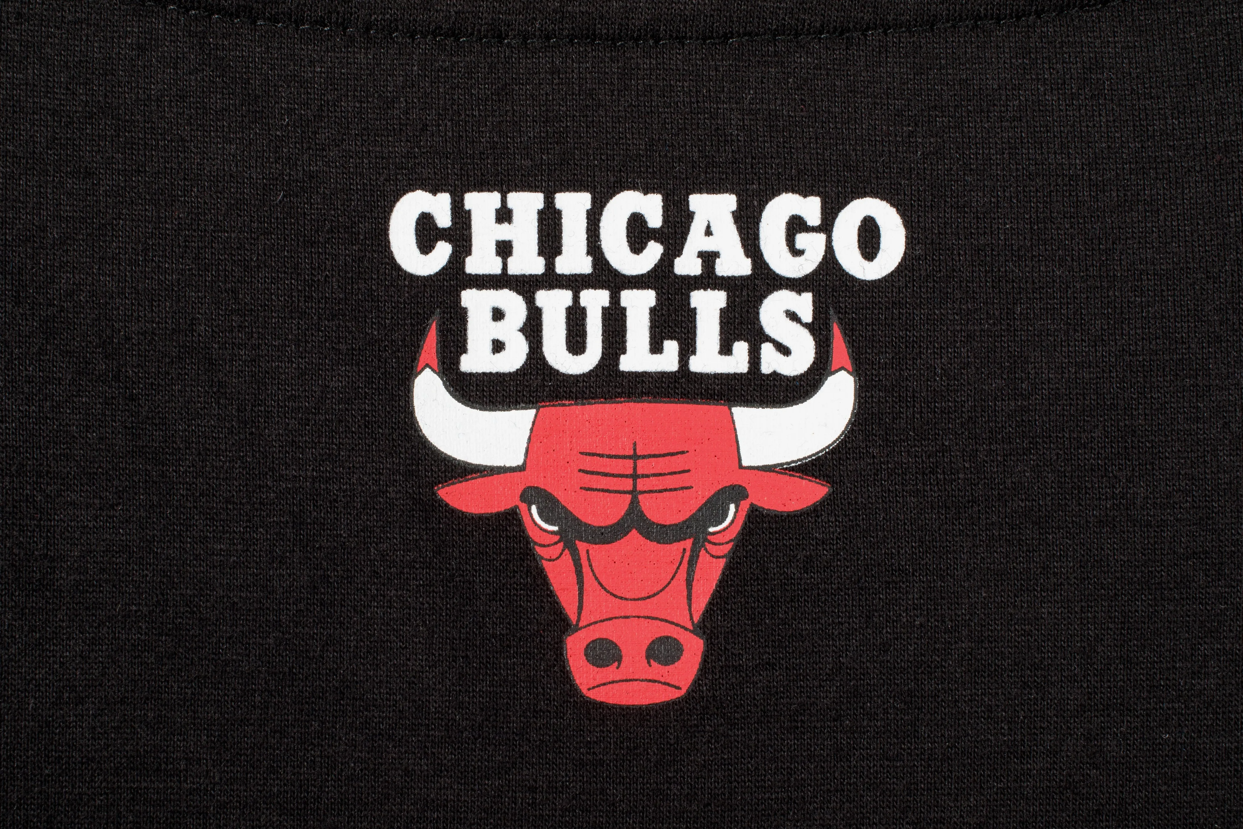 NBA Front Arch Print Regular Fit T-Shirt - Chicago Bulls