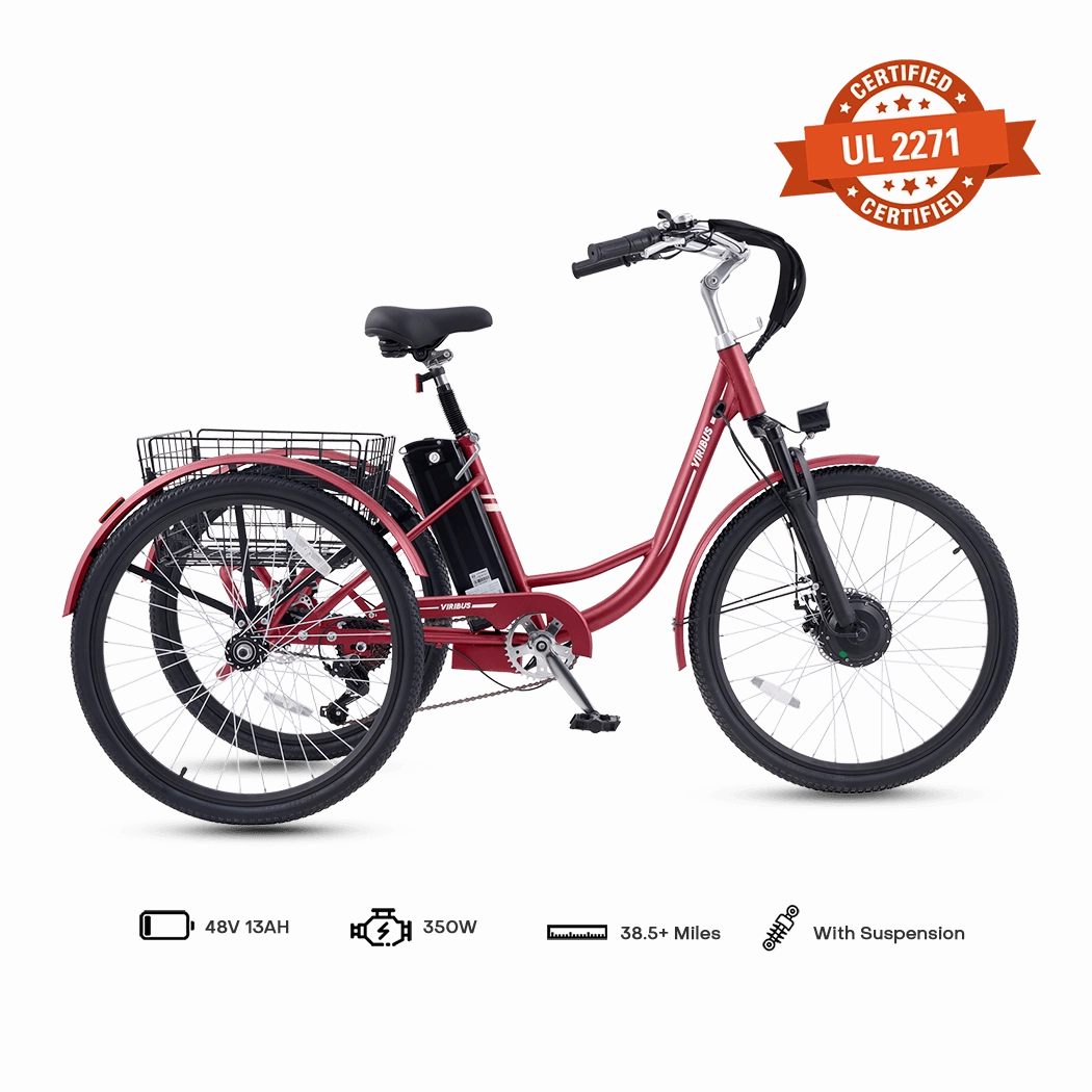 Viribus TG1 Electric Tricycle