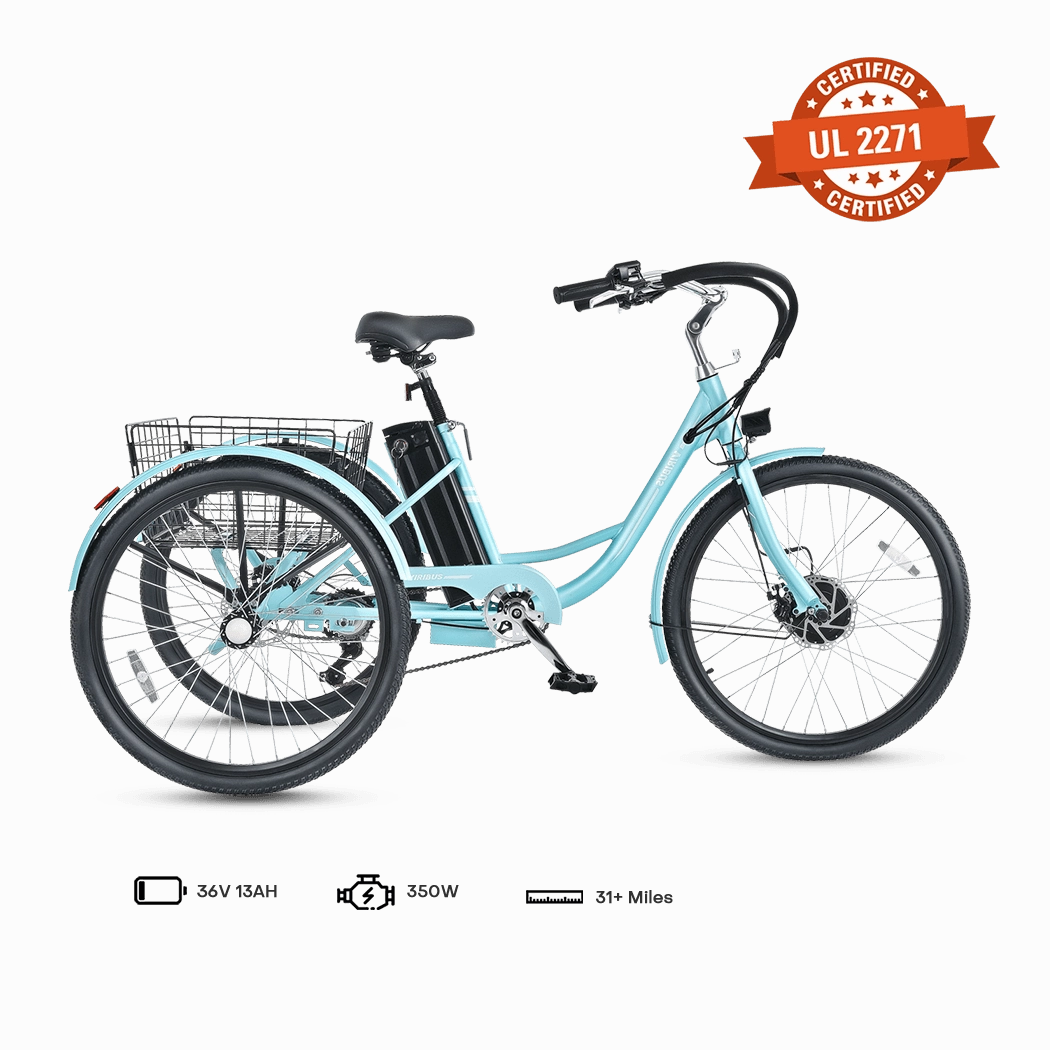 Viribus TG1 Electric Tricycle