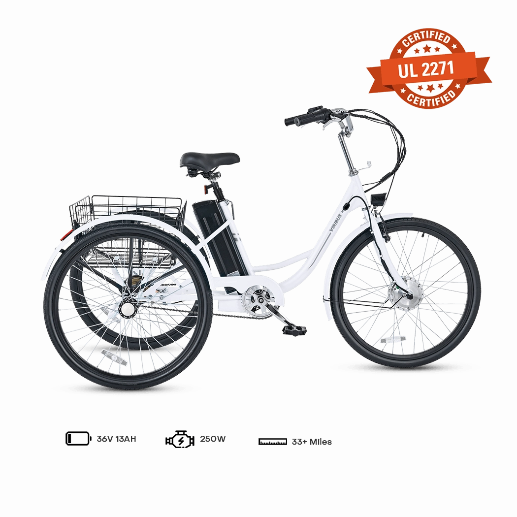 Viribus TG1 Electric Tricycle