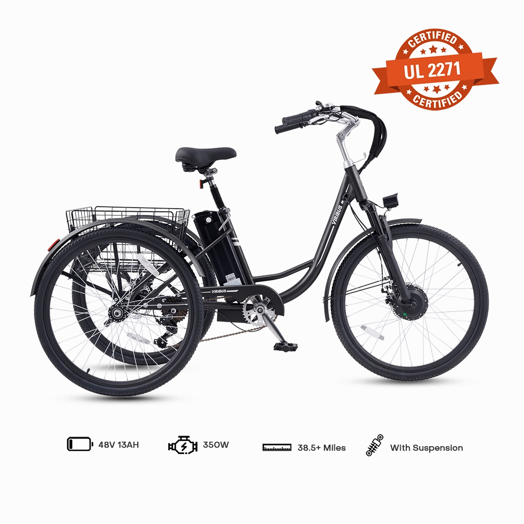 Viribus TG1 Electric Tricycle