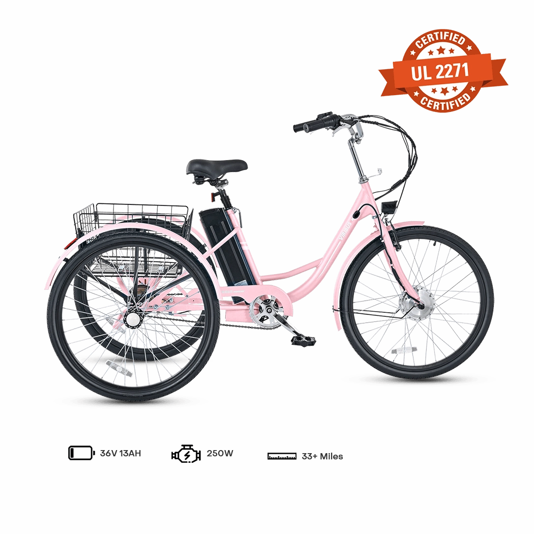 Viribus TG1 Electric Tricycle