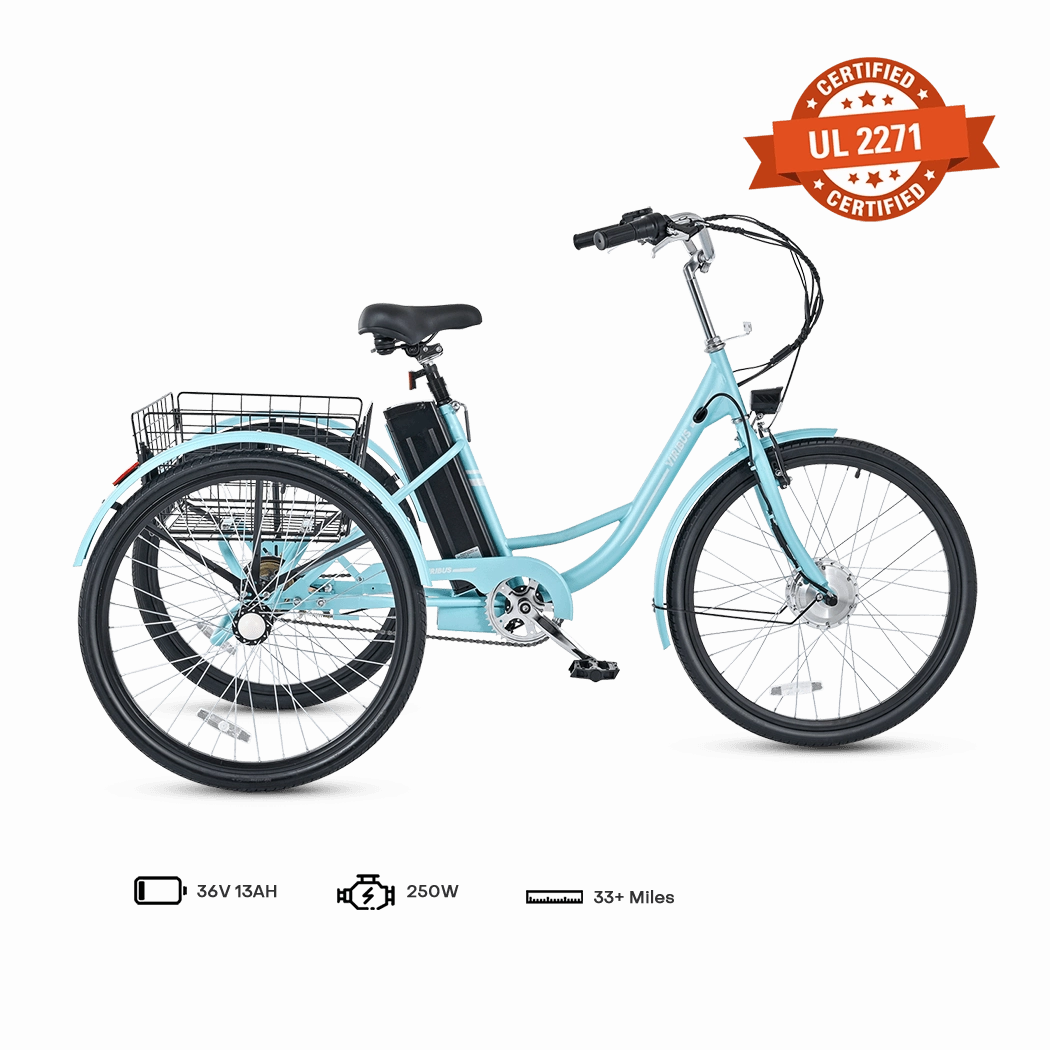 Viribus TG1 Electric Tricycle
