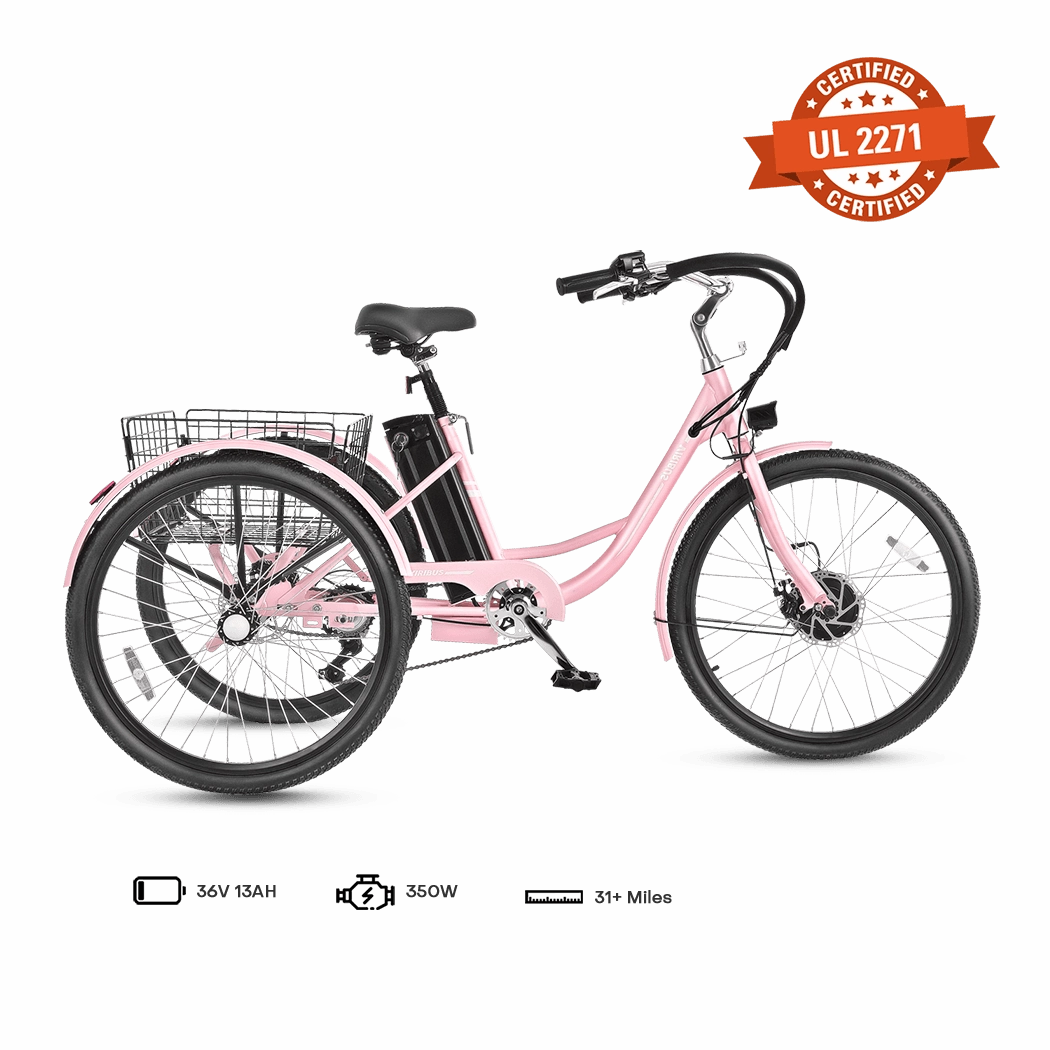 Viribus TG1 Electric Tricycle