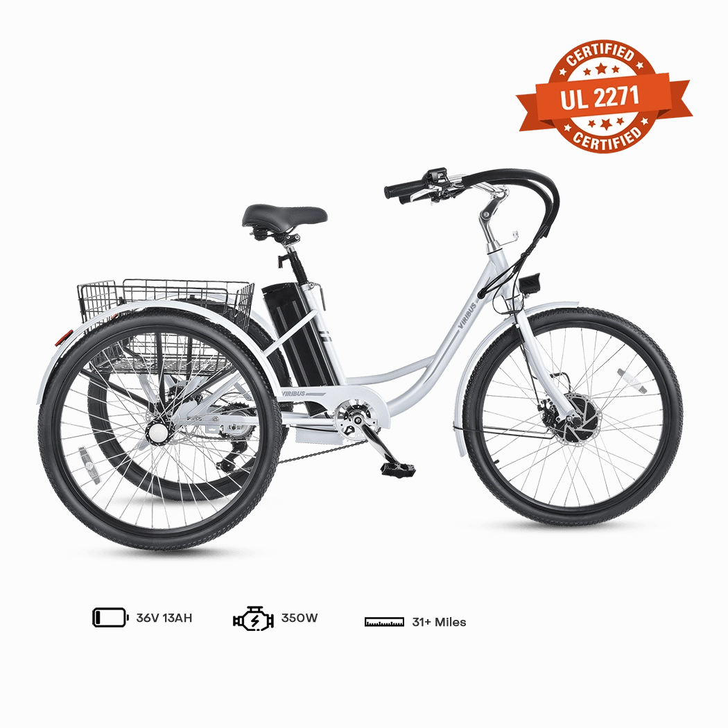 Viribus TG1 Electric Tricycle