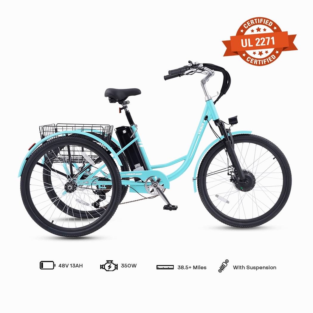Viribus TG1 Electric Tricycle
