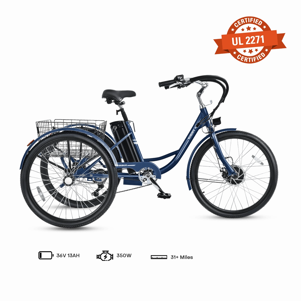 Viribus TG1 Electric Tricycle