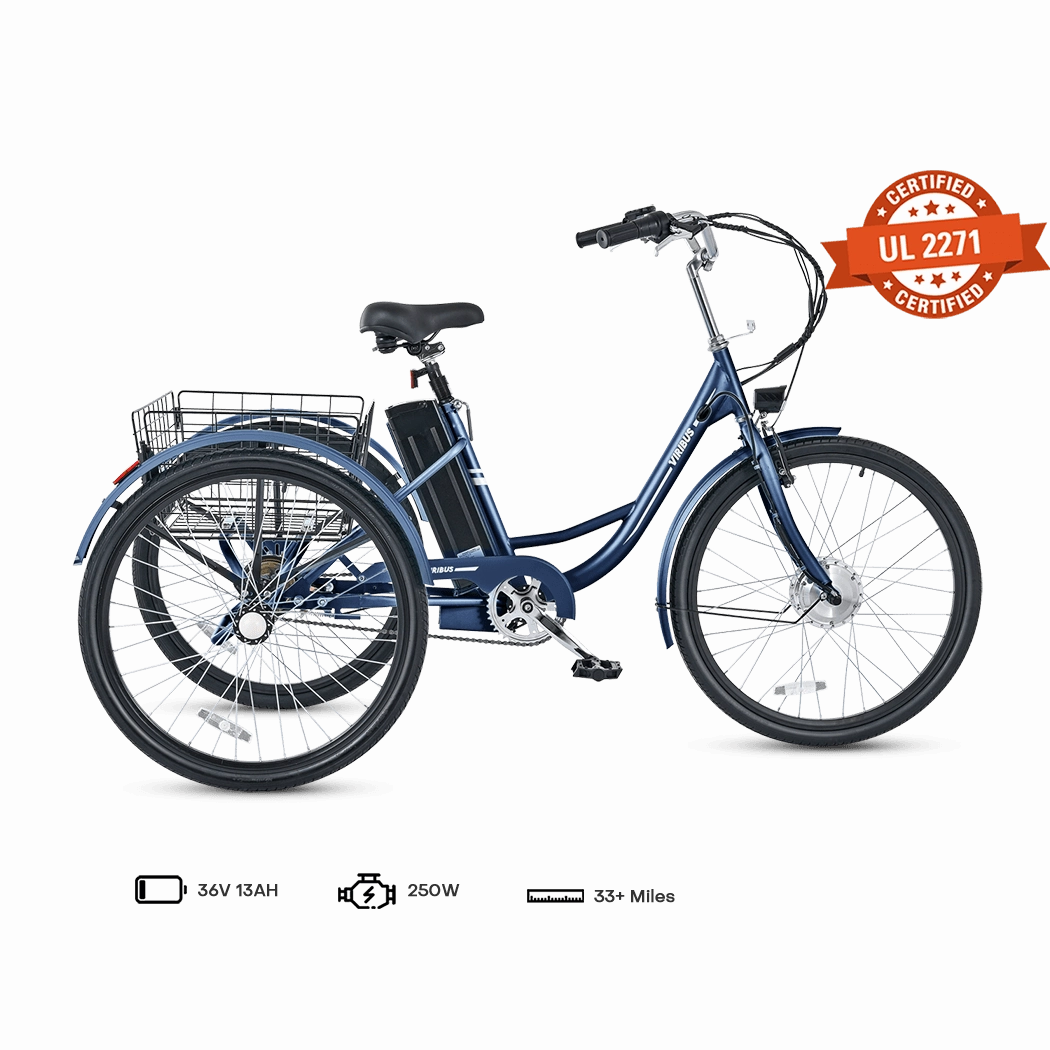 Viribus TG1 Electric Tricycle