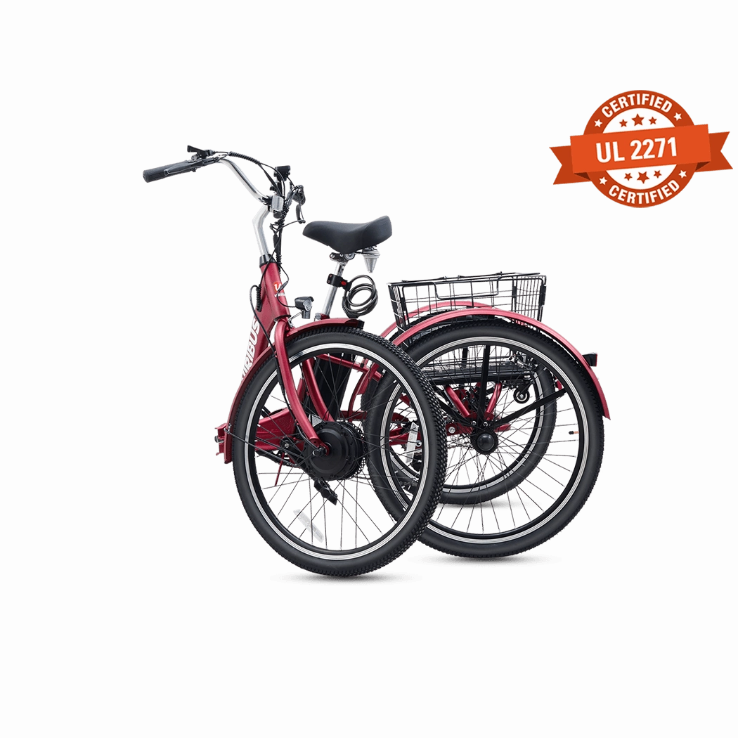 Viribus TG1 Folding Electric Tricycle